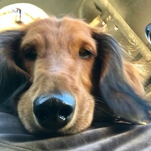 Meet your Posher, Sheila